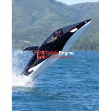 www.totalsengine.com